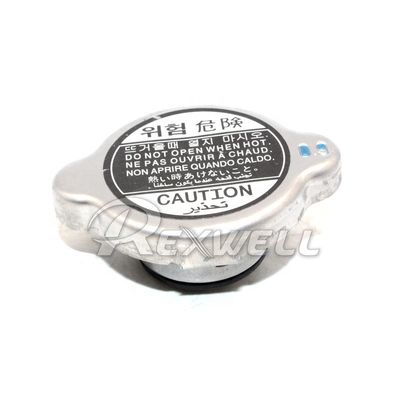Stainless Steel Automobile Coolant Radiator Cap for Hyundai Accent 25330-17000 Sample